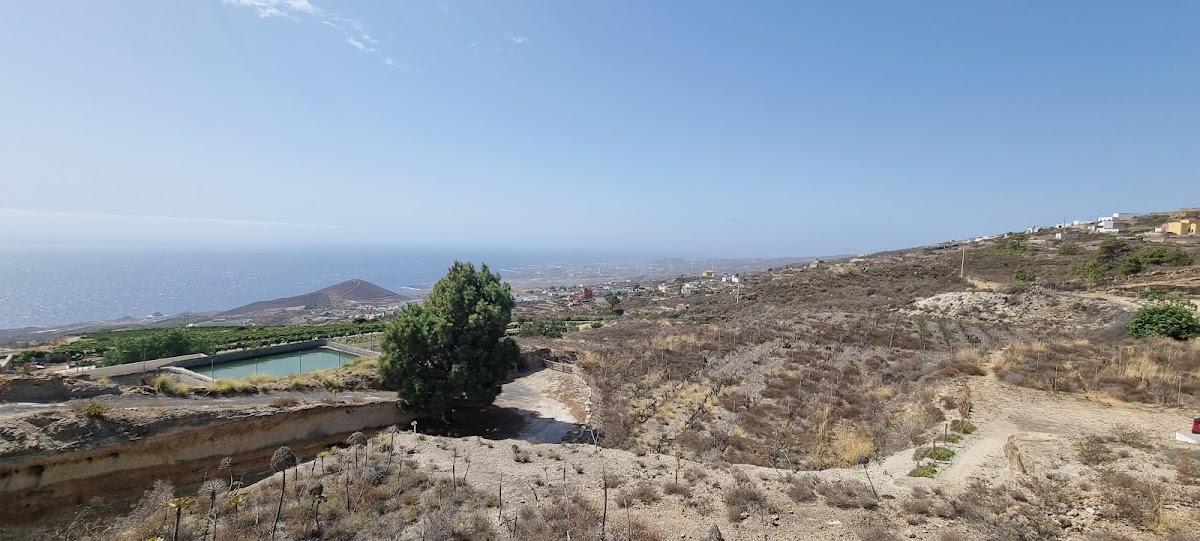 Bodega Viña Arese