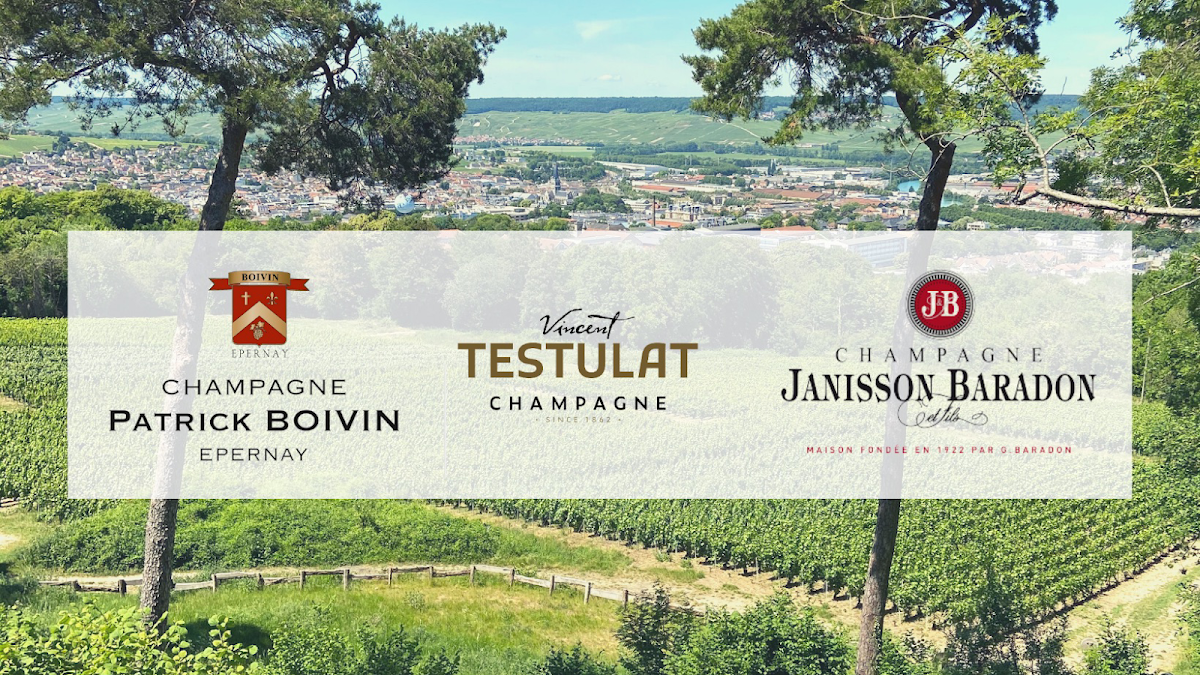Les 3 domaines P Boivin, Vincent Testulat, Janisson-Baradon.