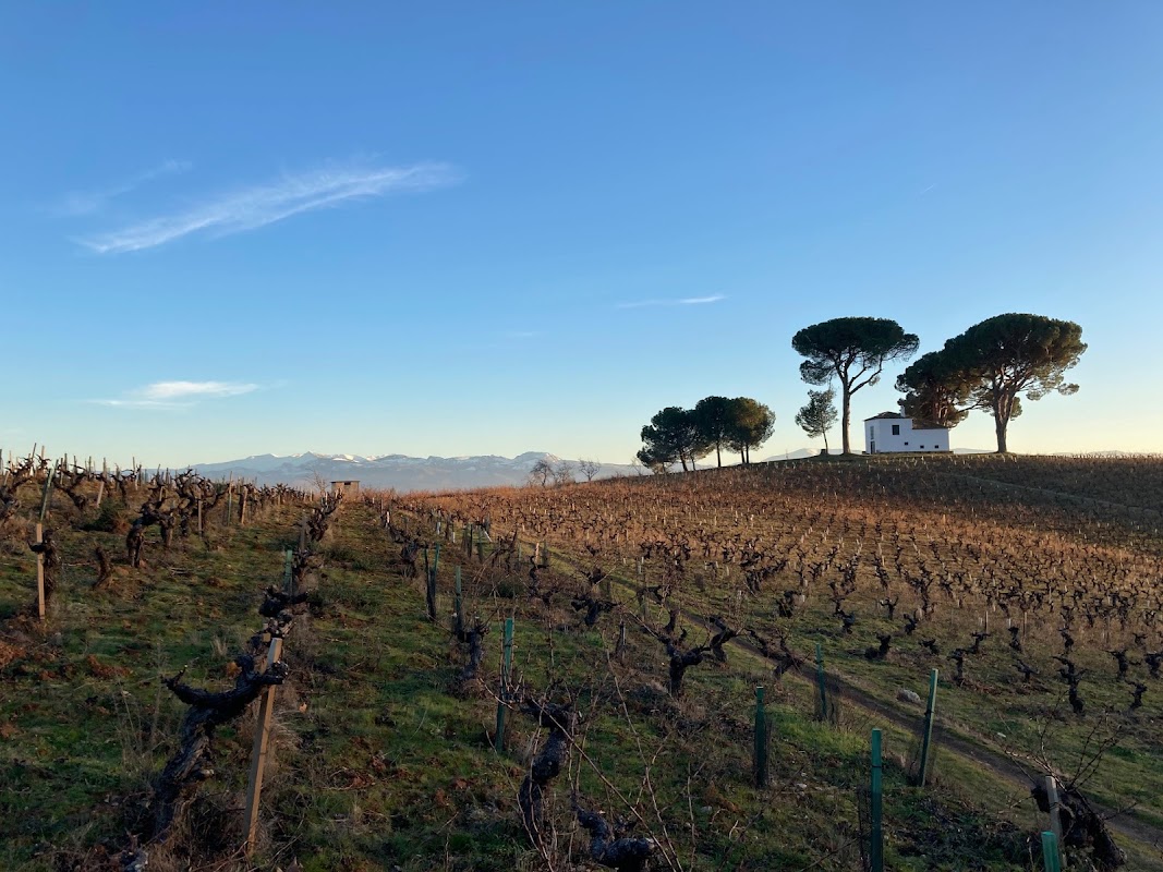 Cantariña Vinos de Familia