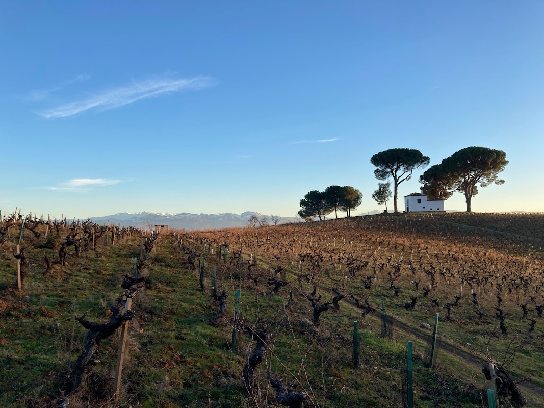 Cantariña Vinos de Familia