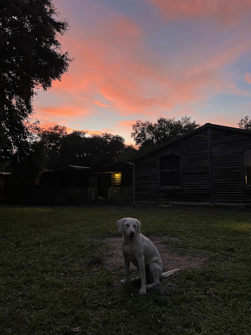 Seminole Prairie - Photo 5