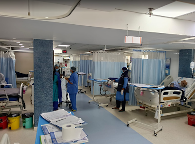 Best Obstetrician