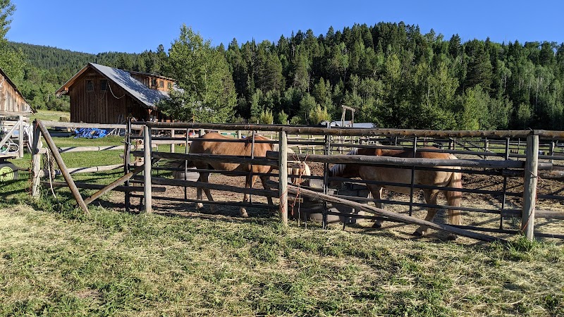 Linn Canyon Ranch - Photo 4