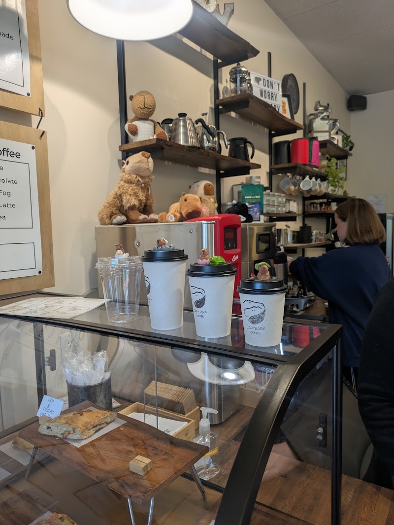 Capybara Coffee photo 3