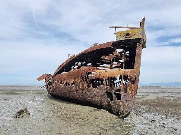 Janie Seddon Shipwreck 1