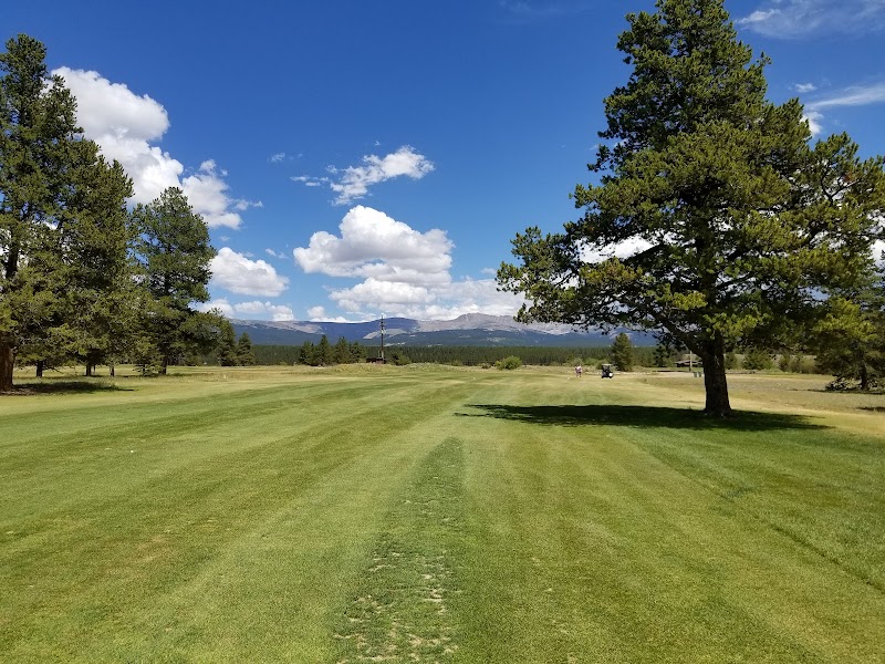 Mt. Massive Golf Course photo 1