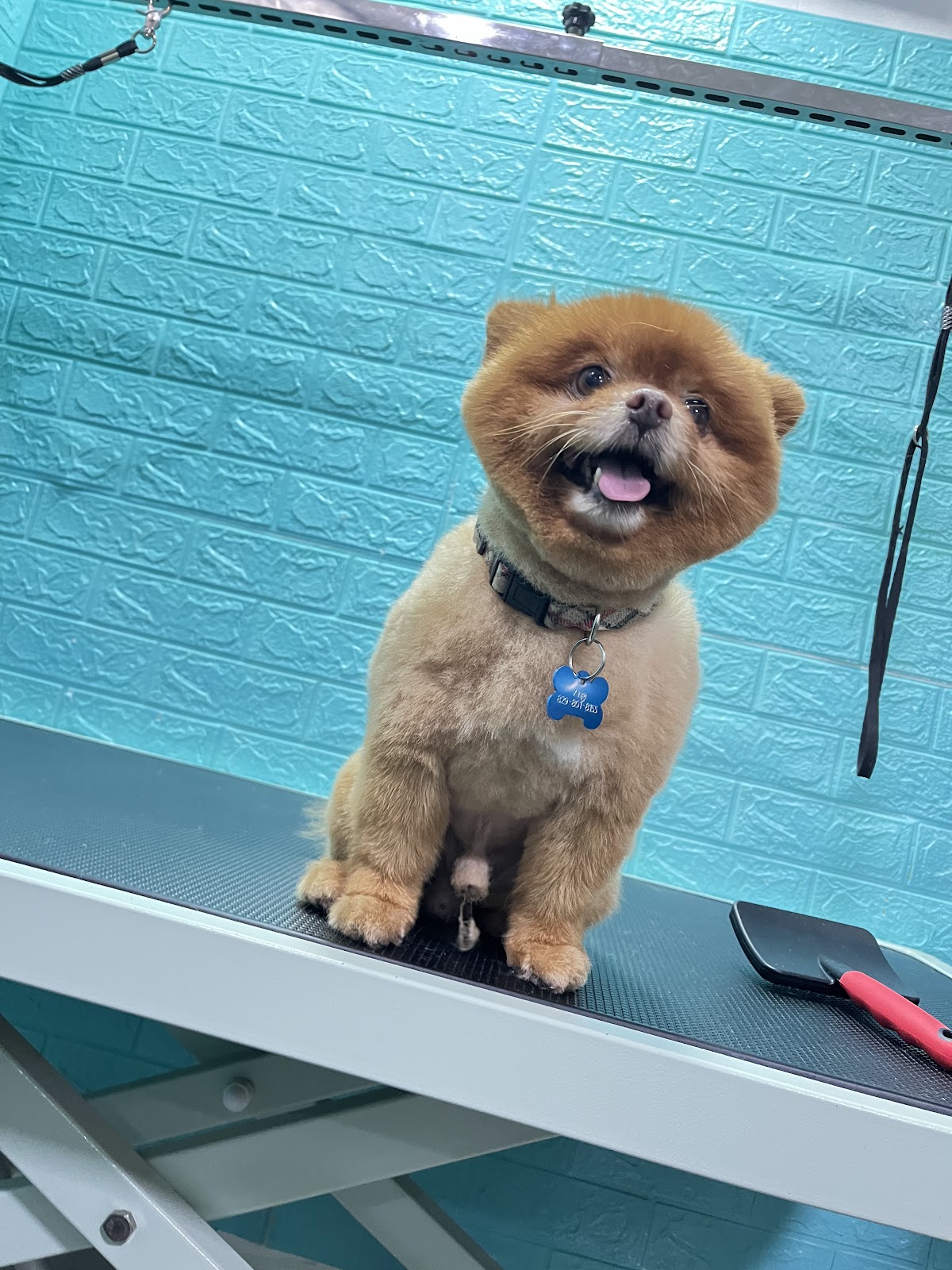 Veterinaria Happy Pet - Imagen 1