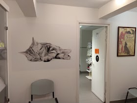Clínica Veterinaria La Castellana