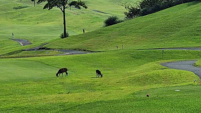 Aso Sky Blue Golf Resort - Photo 6
