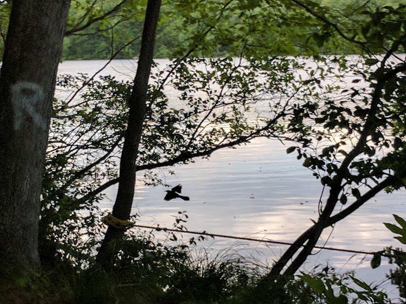 Deer Lake Club Inc photo 2