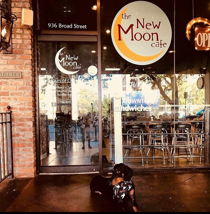 New Moon Cafe photo 1