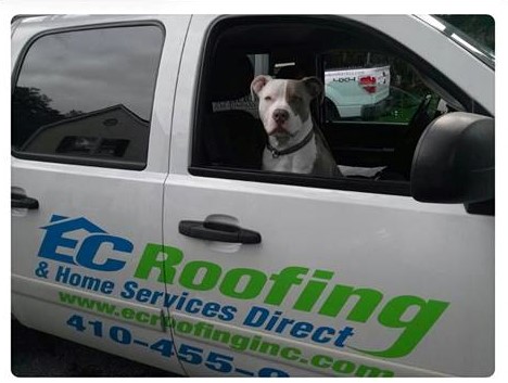 EC Roofing & Home Services Direct photo 1