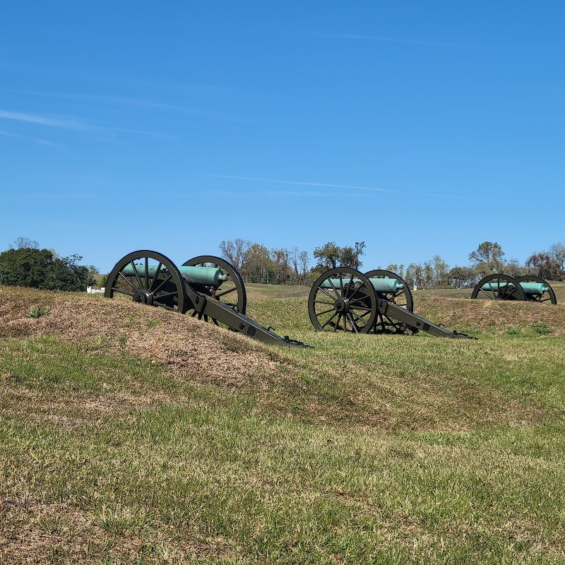 Cafe Paradiso 61 North photo 4