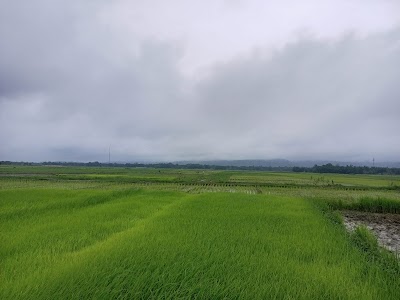 Kanaklata Civil Hospital TEZPUR - Image 3