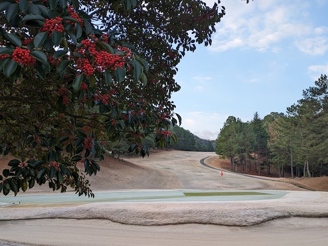 Mihara Country Club - Photo 8
