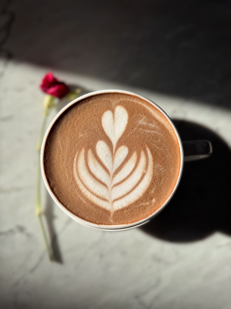 35° North Coffee photo 3