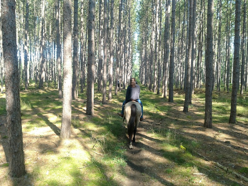 Wolf Lake Ranch Resort Inc - Photo 3