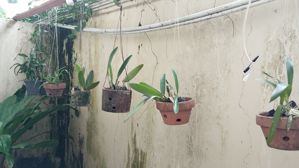 Kontrakan Pak Wagiyo
