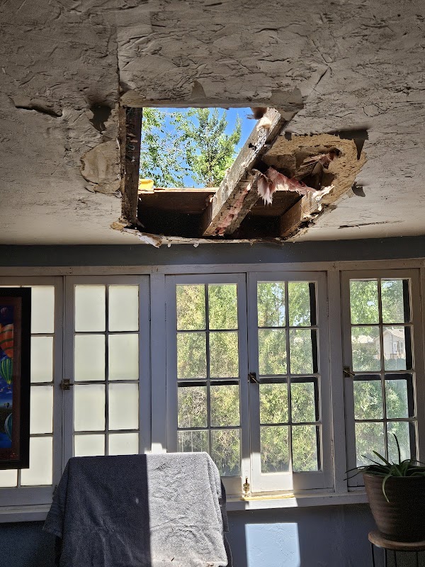 Doyle Roof Masters Inc photo 2