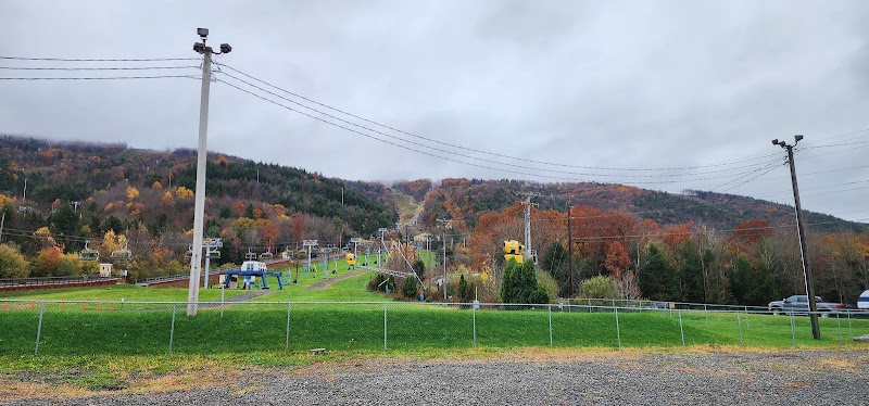 Valley Lodge @ Blue Mountain photo 2
