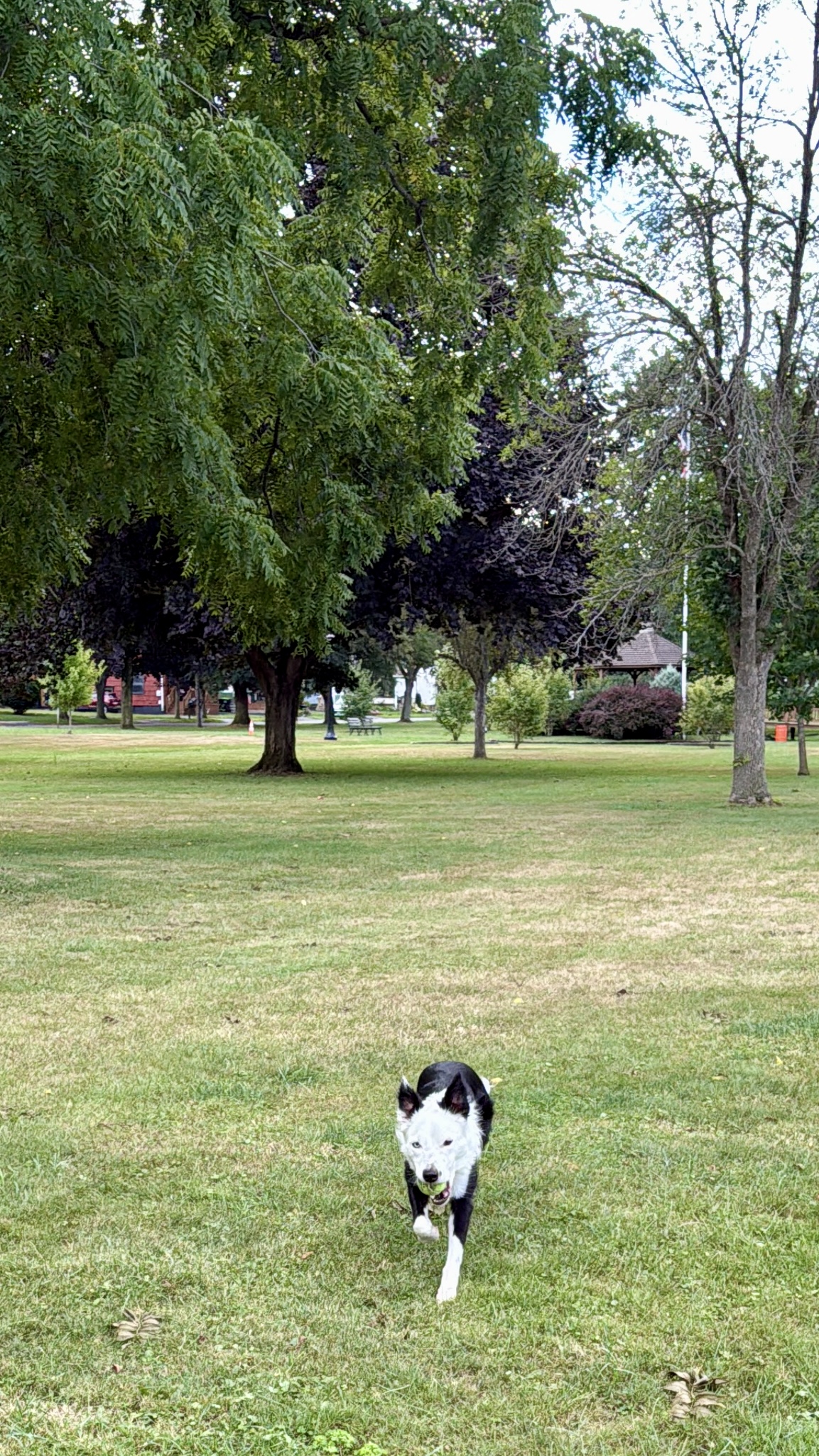 Weller Park