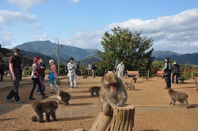 Arashiyama Monkey Park Iwatayama - 2