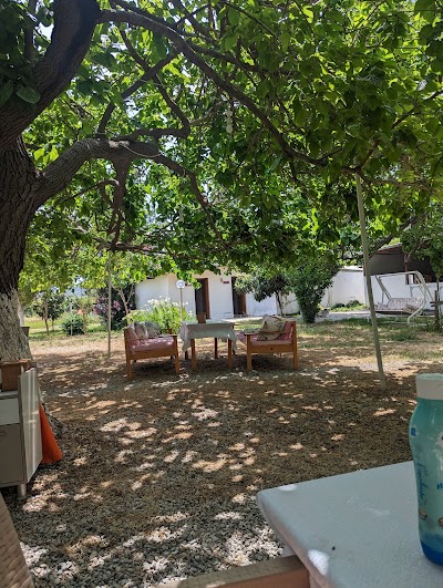Dutaltı Aile Restoran - Restoran
