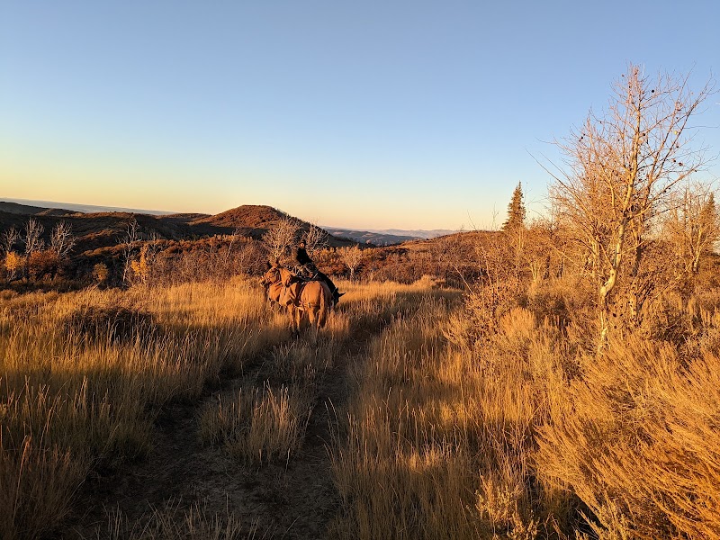 Bearcat Outfitters-Colorado Elk Hunting Outfitters - Photo 1