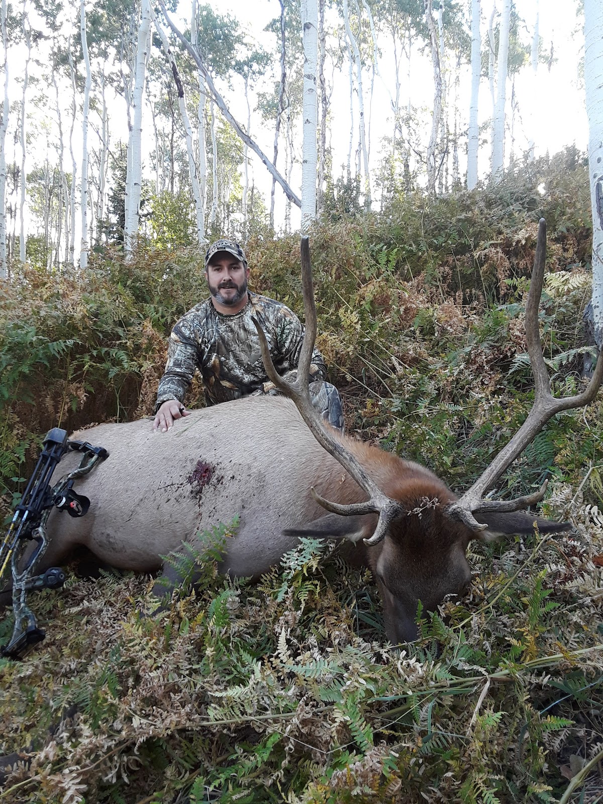 Bearcat Outfitters-Colorado Elk Hunting Outfitters