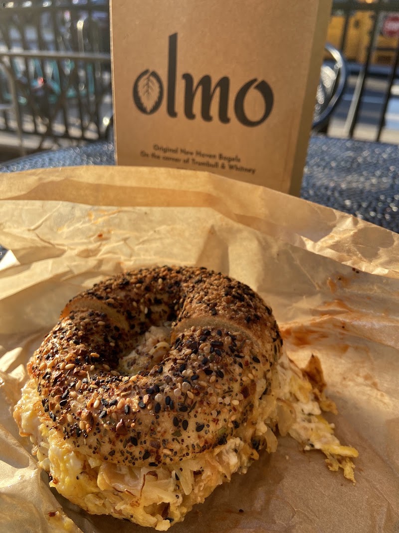 Olmo photo 3