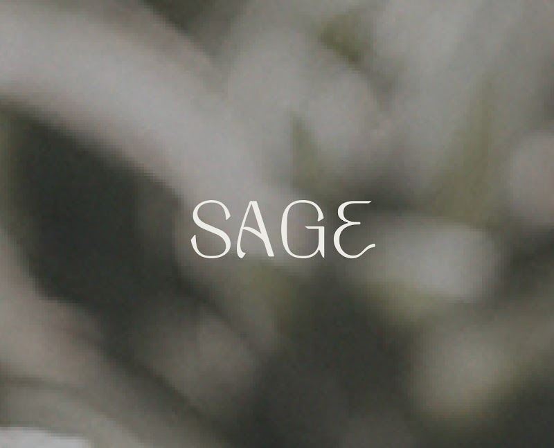 Sage - Columbia, MO photo 4