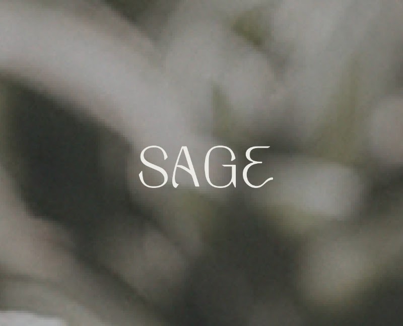 Sage - Columbia, MO photo 3