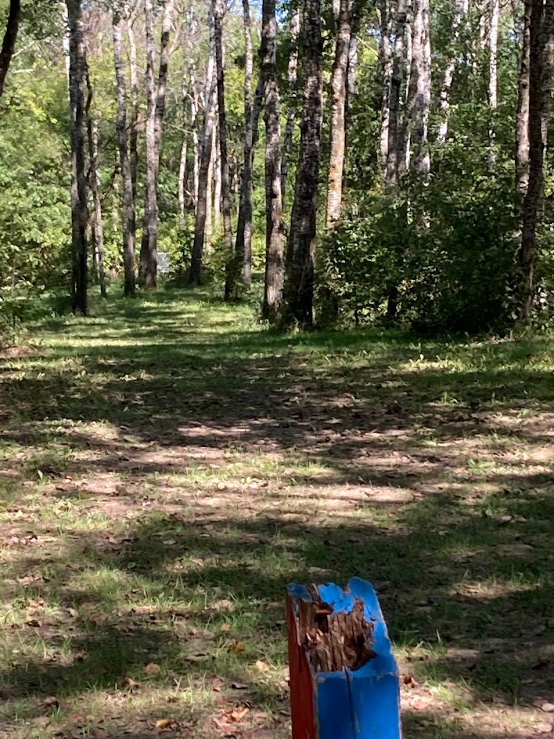 Loch Ness Disc Golf Course photo 2