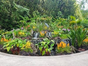 Singapore Botanic Gardens