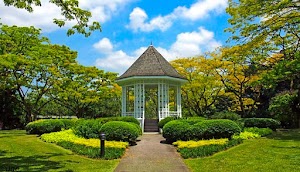 Singapore Botanic Gardens