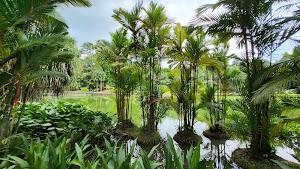 Singapore Botanic Gardens