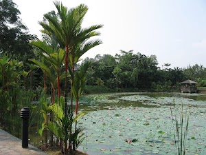 Singapore Botanic Gardens