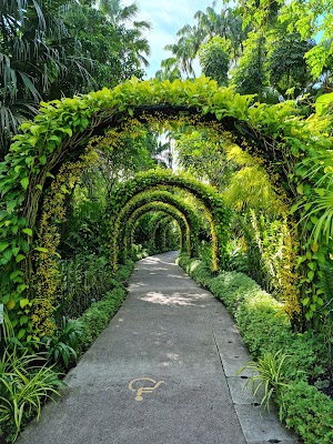 Singapore Botanic Gardens