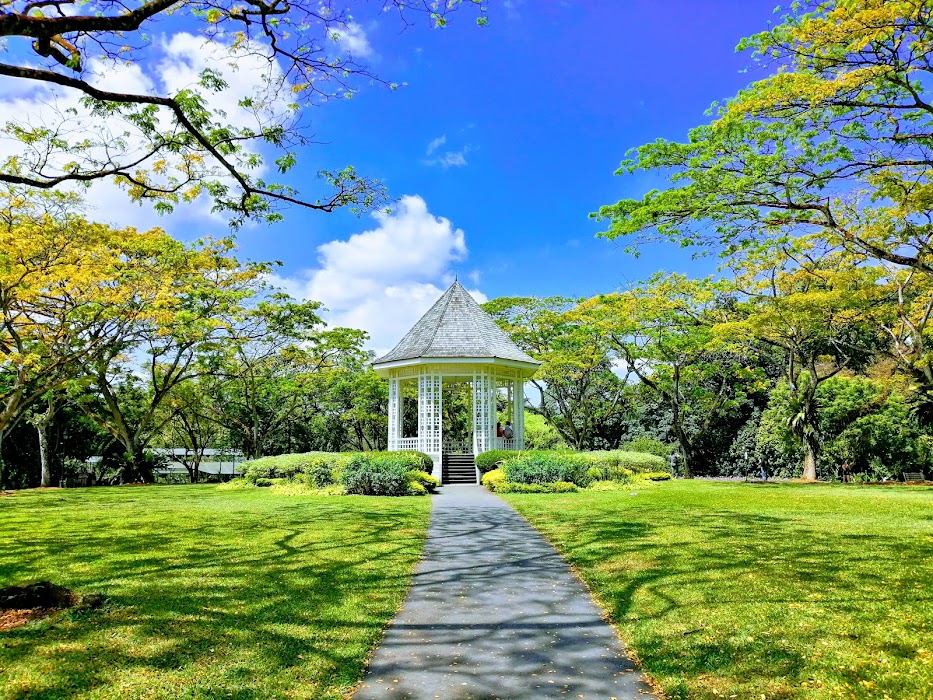 Singapore Botanic Gardens fotoğraf 1