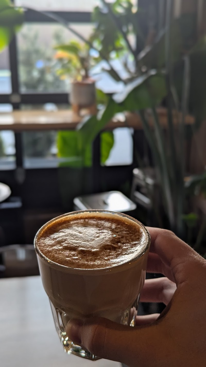 Salute Coffee Company photo 3