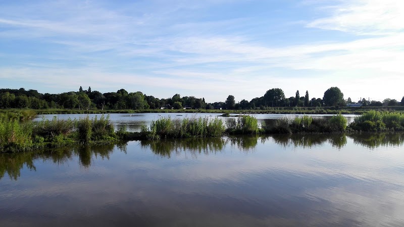 Vroege Vogelspark