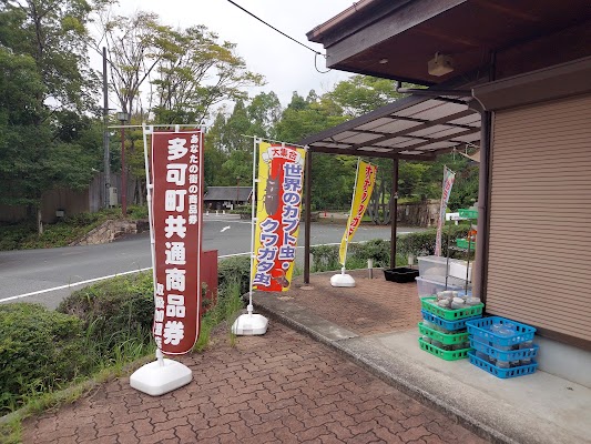 昆虫ショップよかむらの森