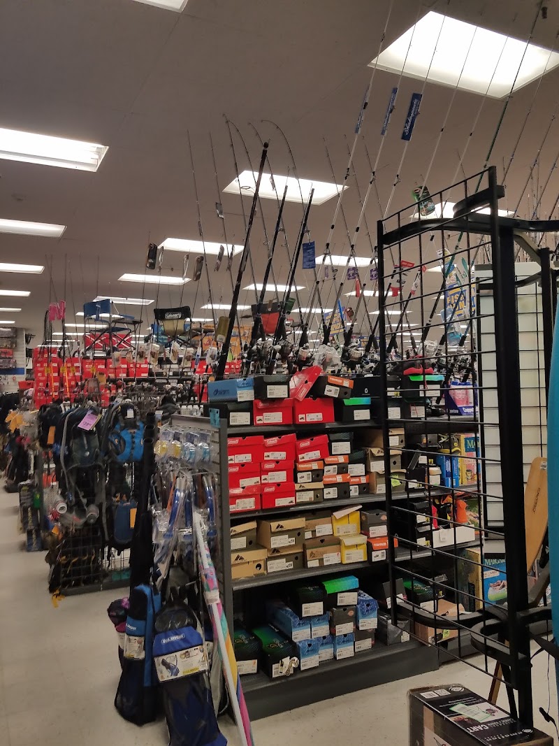 Big 5 Sporting Goods #66 photo