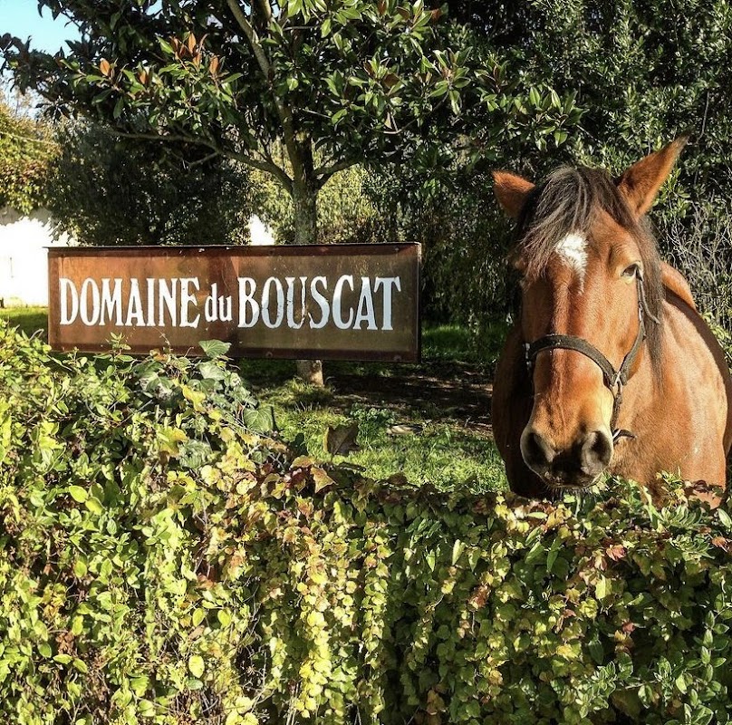 Scea Domaine du Bouscat