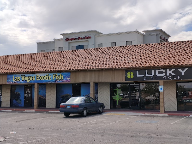 Village Pub & Cafe photo 1