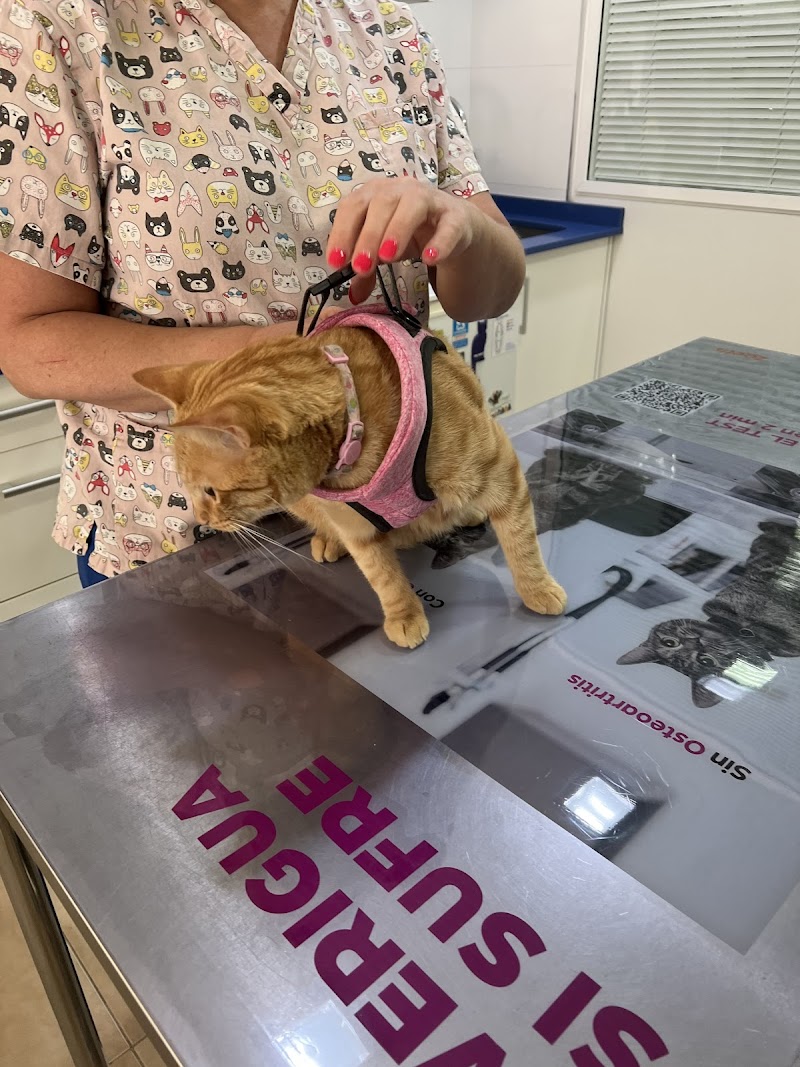 Centauro Veterinarios