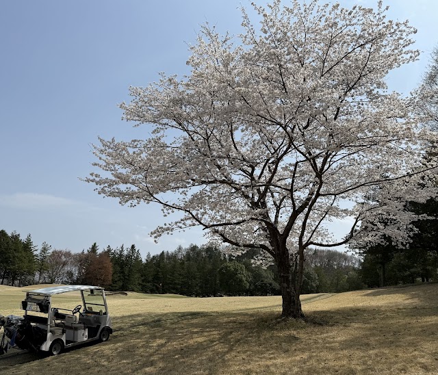 Kinshago Country Club - Photo 6