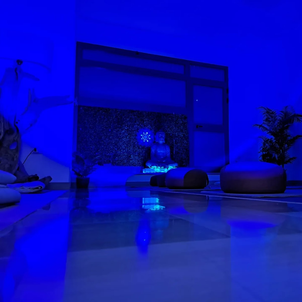 Studio di Meditazione Mindfulness e Sofrologia - di Alessandra Nicoletta Giampaolo - Molfetta — 4