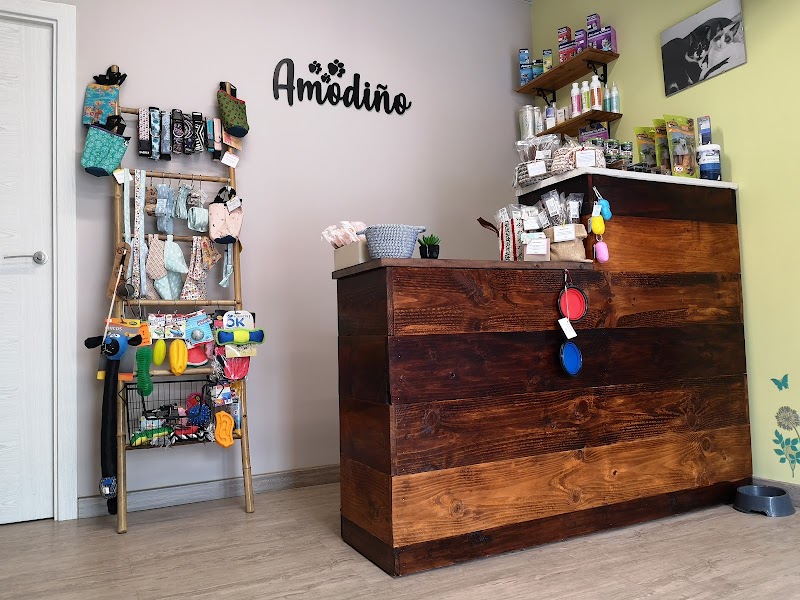 Amodiño Rehabilitacion & Fisioterapia Veterinaria photo 3