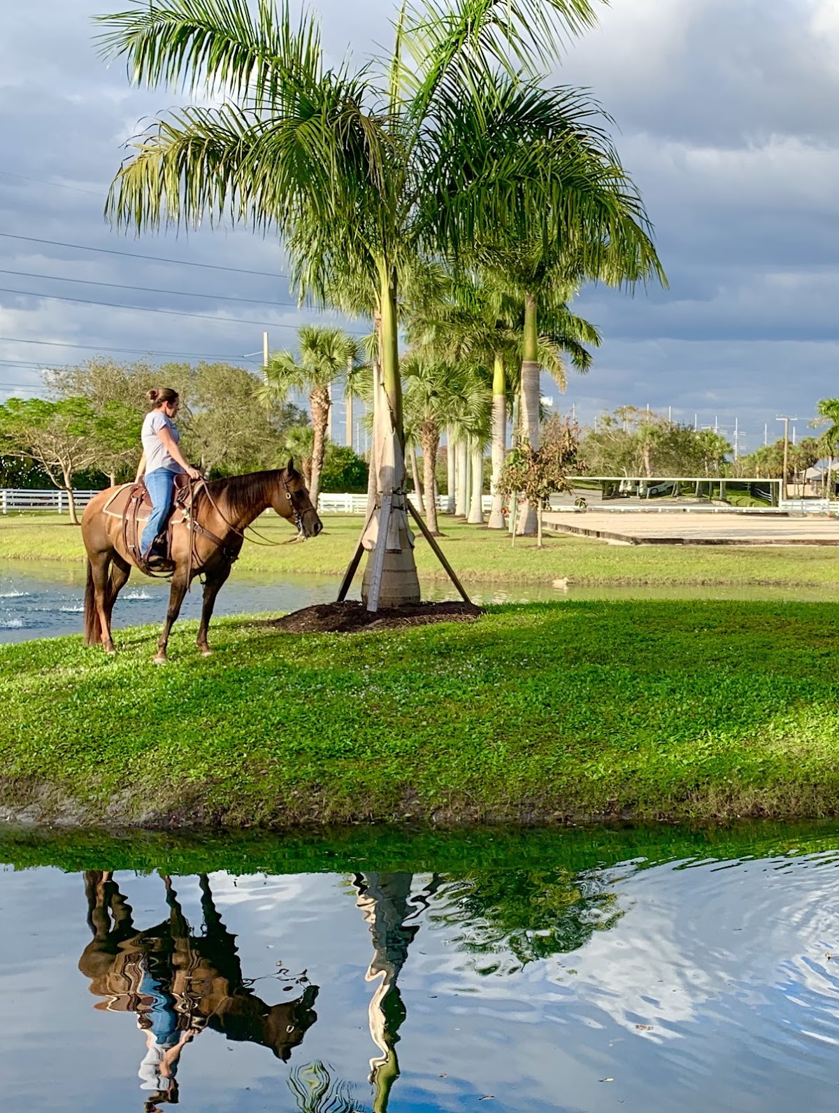 Paradise Ranch